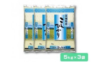 新米[令和6年産]稲敷産 コシヒカリ 15kg (5kg×3袋) (茨城県共通返礼品/稲敷市)|米 おこめ 精米 農家直送 直送 茨城県 [1197]