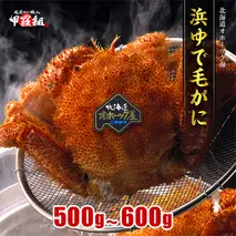 20-269 【甲羅組】北海道産　ボイル毛蟹
