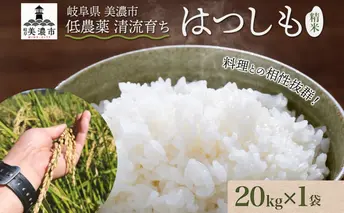 令和7年産 はつしも 精米 20kg×1袋 低農薬 新米 お米 白米 米 ごはん 米 ご飯 ハツシモ R7年産 あっさり ブランド米 お取り寄せ 産地直送 送料無料 美濃グリーン 岐阜県 美濃市