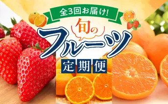 G60-T76_【定期便 全3回】紀州和歌山産旬のフルーツ定期便（田村みかん、いちご、なつみ）