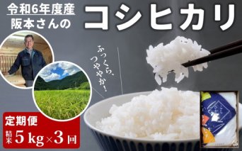 【3回定期便】コシヒカリ 精米5kg 計15kg 令和6年産｜久万高原町 米 新米 お米 こめ コメ 愛媛　※離島への配送不可