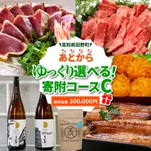 返礼品は後からゆっくり選べる寄附コース★C★ あとから選べる おすすめ 人気 カツオ カツオのたたき うなぎ 鰻 肉 酒 塩 魚 魚介 カタログ 300000円