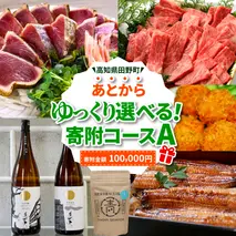 返礼品は後からゆっくり選べる寄附コース★A★ あとから選べる おすすめ 人気 カツオ カツオのたたき うなぎ 鰻 肉 酒 塩 魚 魚介 カタログ 100000円
