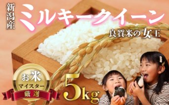 新米 ミルキークイーン 5kg お米 米 白米 こめ しんまい 令和6年産 ご飯 備蓄 贈答 コメ 新潟産 新潟県 新潟米 新潟 新発田 斗伸 toushin015_01