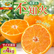 ZJ6094_【2026年先行予約】不知火(しらぬい) オレンジ みかん 家庭用 4kg