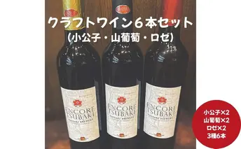 クラフトワイン3種セット(小公子2・山葡萄2・ロゼ2) ワイン クラフトワイン 酒 お酒 セット 詰め合わせ 愛知 日進市