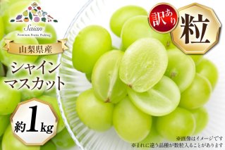いちご 楽天市場】サンタマリア 冷凍 ストロベリー ホール 500g ( 40~50