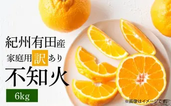 G7358_【2026年先行予約】紀州有田産 不知火 (しらぬい)【家庭用 訳あり】6kg デコポン フルーツ デザート 柑橘 果物 果実 みかん お取り寄せ 和歌山県 湯浅町 送料無料