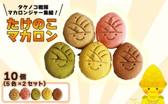 タケノコ戦隊マカロンジャー マカロン 5色 2箱 化粧箱入り｜デザート スイーツ 焼き菓子 たけのこ タケノコ たけのこマカロン ご当地 京都 長岡京 長岡京市 [1485]