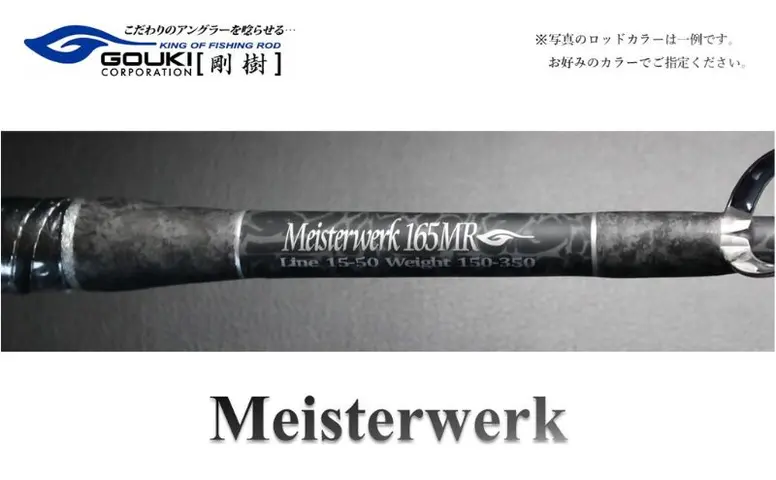 剛樹 マイスタヴェルク （MTW 17RR 2024モデル） 170cm ウェイト負荷60
