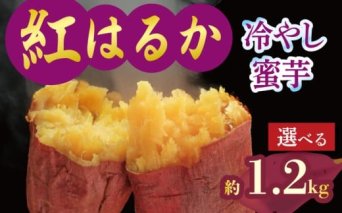 焼き芋 蜜芋 冷蔵 紅はるか 約1.2kg 芋 さつまいも おいも お芋 やきいも サツマイモ おやつ スイーツ デザート コグマ ダイエット 低GI 食物繊維 香川県 丸亀市 配送：11月下旬～