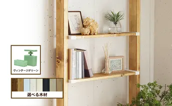 ワンバイエイト　LABRICO棚セットS　アジャスター：ビンテージグリーン×ジャコビアン