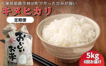 [令和7年産新米]<10月初旬以降発送予定>定期便6回お届けきぬひかり5キロ 兵庫県姫路市産 新米 白米 米 お米