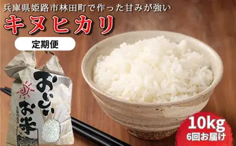 [令和7年産新米]<10月初旬以降発送予定>定期便6回お届けきぬひかり10キロ 兵庫県姫路市産 新米 白米 米 お米