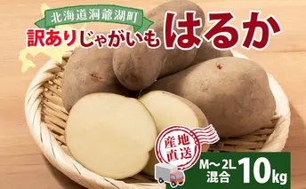 北海道産 じゃがいも はるか 10kg M~2L混合 訳あり 2024年12月中旬~2025年3月末お届け 野菜 ジャガイモ 馬鈴薯 芋 いも 旬 北海道 洞爺湖町 肉じゃが カレー コロッケ 野菜 農作物 お取り寄せ