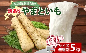 北海道産 やまといも 5kg 訳あり 2024年12月中旬~2025年3月末お届け 野菜 大和芋 とろろ芋 芋 いも とろろ 山芋 旬 北海道 洞爺湖町 野菜 農作物 お取り寄せ 産地直送 送料無料