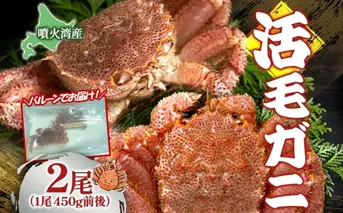 先行受付 北海道 噴火湾産 活毛がに 450g前後×2尾  2026年6月下旬~7月上旬お届け 北海道産 旬 新鮮 毛がに かに カニ 蟹 毛ガニ 毛蟹 カニ味噌 天然 噴火湾 産地直送 お取り寄せ 冷蔵 洞爺湖町