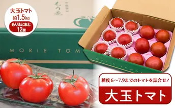 【11月中旬以降順次出荷】もりゑとまと　詰合せ [ 大玉 トマト とまと 高糖度 産地直送 野菜 ]