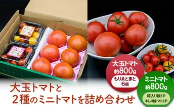 【11月中旬以降順次出荷】ミニセット（もりゑ＆ミニ2種）[ 大玉 とまと ミニ トマト 高糖度 産地直送 野菜 ]