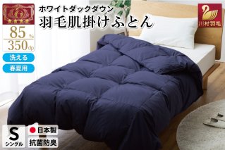 【春夏用】洗える 羽毛 肌掛け布団 シングル ホワイトダックダウン 85% 0.4kg (無地 ネイビー) [川村羽毛 山梨県 韮崎市 20743027] 掛け布団 布団 羽毛布団 ダウンケット ふとん 肌掛け ダウンケット 寝具