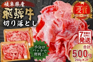 【7営業日以内発送】 飛騨牛切り落とし500ｇ（250ｇ×2） 牛肉 カレー シチュー 牛丼 肉じゃが 牛しぐれ煮 牛すき煮 炒め物 肉 国産 和牛 ブランド牛 小分け セット 国産牛 お肉 ロース 赤身 バラ 冷凍 【0016-017】