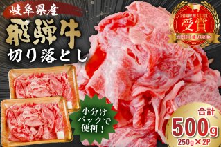 飛騨牛切り落とし500ｇ（250ｇ×2） 牛肉 カレー シチュー 牛丼 肉じゃが 牛しぐれ煮 牛すき煮 炒め物 肉 国産 和牛 ブランド牛 小分け セット 国産牛 お肉 ロース 赤身 バラ 冷凍 【0016-017】