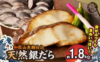 G7336_和歌山魚鶴仕込みのだし漬け天然銀だら切身20切（真空パック入） 約1.8kg 小分け 独自製法 良質な脂 ふっくら 柔らかい 身質 甘み 旨味 白身魚のトロ 梅酒 北海道南産 真こんぶ だし漬け 煮付け ムニエル 味噌漬け 鍋物 冷凍 湯浅町 送料無料