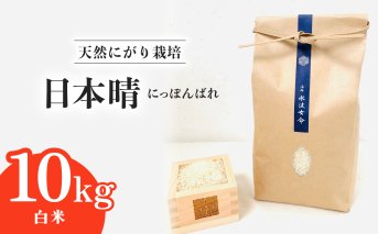 日本晴 白米 10kg 天然にがり栽培 にっぽんばれ 希少 品種 お寿司 ピラフ チャーハン