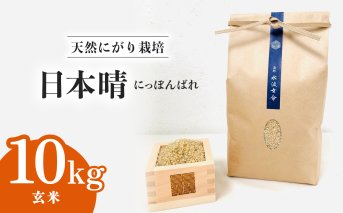 日本晴 玄米 10kg 天然にがり栽培 にっぽんばれ 希少 品種 お寿司 ピラフ チャーハン