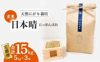 【定期便】 日本晴 玄米 5kg×3回 3ヶ月連続 天然にがり栽培 にっぽんばれ 希少 品種 お寿司 ピラフ チャーハン