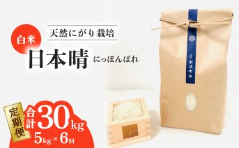 【定期便】 日本晴 白米 5kg×6回 6ヶ月連続 天然にがり栽培 にっぽんばれ 希少 品種 お寿司 ピラフ チャーハン