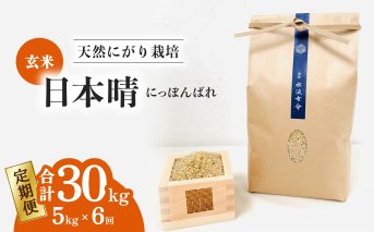 【定期便】 日本晴 玄米 5kg×6回 6ヶ月連続 天然にがり栽培 にっぽんばれ 希少 品種 お寿司 ピラフ チャーハン