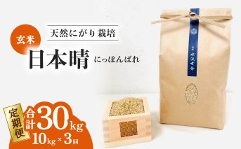【定期便】 日本晴 玄米 10kg×3回 3ヶ月連続 天然にがり栽培 にっぽんばれ 希少 品種 お寿司 ピラフ チャーハン