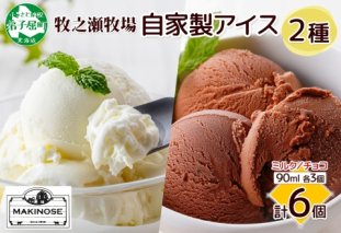 3224. 牧之瀬牧場 自家製アイス 2種 各3個 計6個 ミルク チョコ オリジナル アイス 生乳 牛乳 フレーバー 牧場 デザート 手作り セット  スイーツ 冷凍 送料無料 北海道 弟子屈町