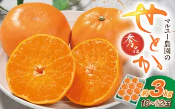  OW1000_秀品　マルユー農園のせとか 3kg「10～12玉」