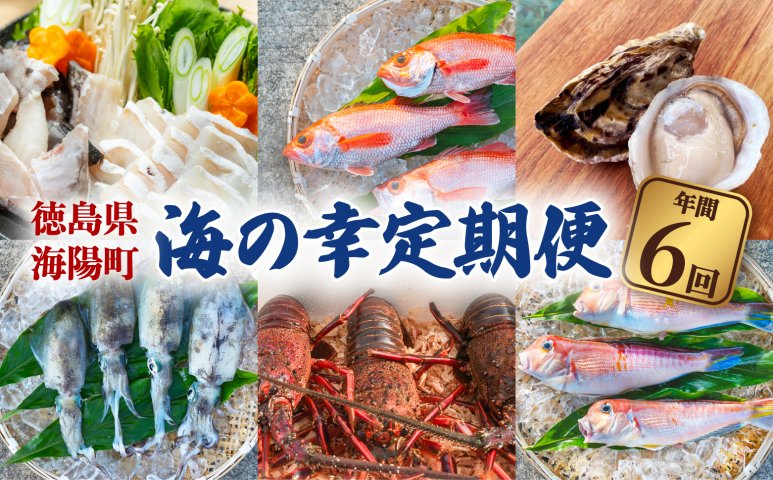 定期便全６回】海陽町の『海の幸』定期便 クエ クエ鍋 牡蠣 アマダイ