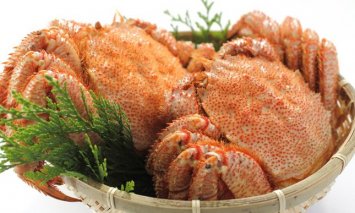 身詰まり抜群！三特茹で毛がに　約580g×2尾 ＜網走産＞■