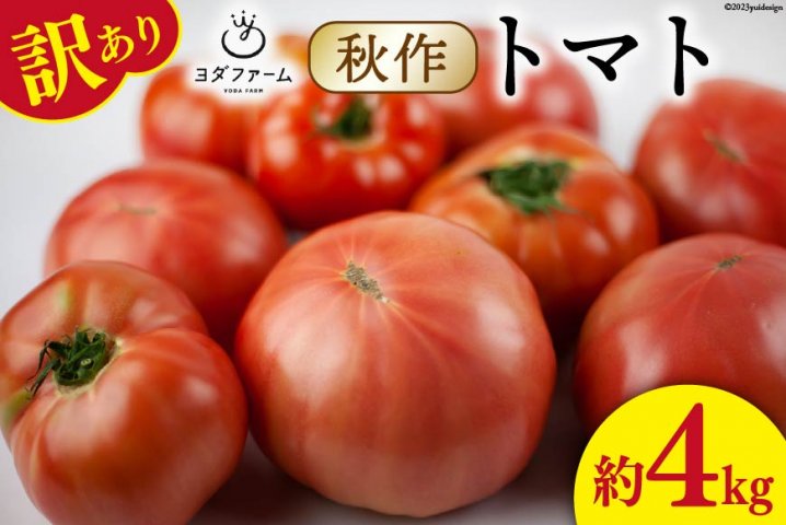 高価値セリー トマト 約４kg 訳あり トマト 土佐の高知の桃太郎とまと
