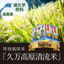 特別栽培米「久万高原清流米」令和4年コシヒカリ(5kg)×3袋セット