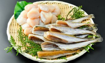 網走前浜産 無添加ホタテ貝柱〈2019年新物!!〉【1kg（500g×2）】＆天日生干し氷下魚（コマイ）【1kg（500g×2）】【ふるさと納税】14023-30026774