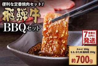 【7営業日以内発送】 飛騨牛ＢＢＱセット・カルビ350ｇ ・もも かた肉 焼き肉用350ｇ 肉 お肉 ブランド ブランド牛 バーベキュー 詰め合わせ 【0016-022】