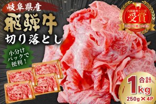 飛騨牛切り落とし1Kg（250ｇ×4） 牛肉 カレー シチュー 牛丼 肉じゃが 牛しぐれ煮 炒め物 肉 国産 和牛 ブランド牛 小分け セット 国産牛 お肉 ロース もも 赤身 バラ 【0016-019】