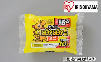 ぽかぽか家族 貼るミニ PKN-10HM 10Ｐ×48箱 アイリスオーヤマ 雑貨 日用品 使い捨て 