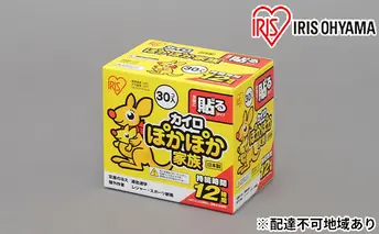 カイロ（240枚）ぽかぽか家族 貼るレギュラー 30P（PKN-30HR）×8箱 アイリスオーヤマ 雑貨 日用品 使い捨て 