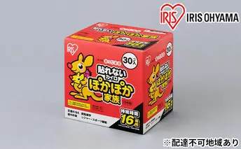 カイロ（240枚）ぽかぽか家族 レギュラー（貼らない）30P（PKN-30R）×8箱 アイリスオーヤマ 雑貨 日用品 使い捨て