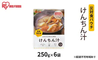 【防災】災対食パウチけんちん汁 250g×6袋 アイリスオーヤマ 惣菜 加工食品 レトルト 保存食 たくさん 野菜 油あげ 麩 煮込み 生野菜 備蓄 常温 5年 長期保存 可能 非常食 災害時 
