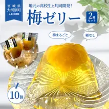 大河原の梅と清水のゼリー うめ果りり 10個入り 10,000円台おすすめ返礼品 お菓子 スイーツ 和スイーツ 梅の風味 梅ゼリー おやつ 食後 ひんやりスイーツ 涼 夏 さっぱり やさしい甘味 酸味 