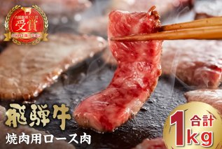 飛騨牛 焼肉用ロース1kg（500ｇ×2） お肉 肉 牛肉 焼き肉 BBQ ロース 和牛 ブランド ブランド牛 国産【0016-053】