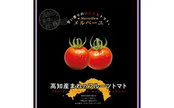 高知産フルーツトマト「メルベーユ」約1.5kg 糖度9度以上！【s-kensyo】数量限定 期間限定 故郷納税 高糖度 野菜 とまと 甘さ ミニトマト　甘い　フルティカ