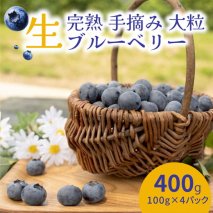 【先行受付予約】知多半島 生ブルーベリー 400g（100g×4パック） 完熟 果物 フルーツ 旬 農園直送 青果物 国産 健康 美容 愛知県 美浜町 ブルーベリーの里みはま 産地直送 ※2026年6月上旬～8月中旬に順次発送予定 送料無料 数量限定 期間限定 ※北海道・沖縄・離島への配送不可